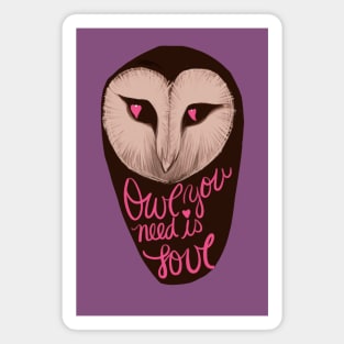 Owl You Need Is Love Heart Eyes Magnet